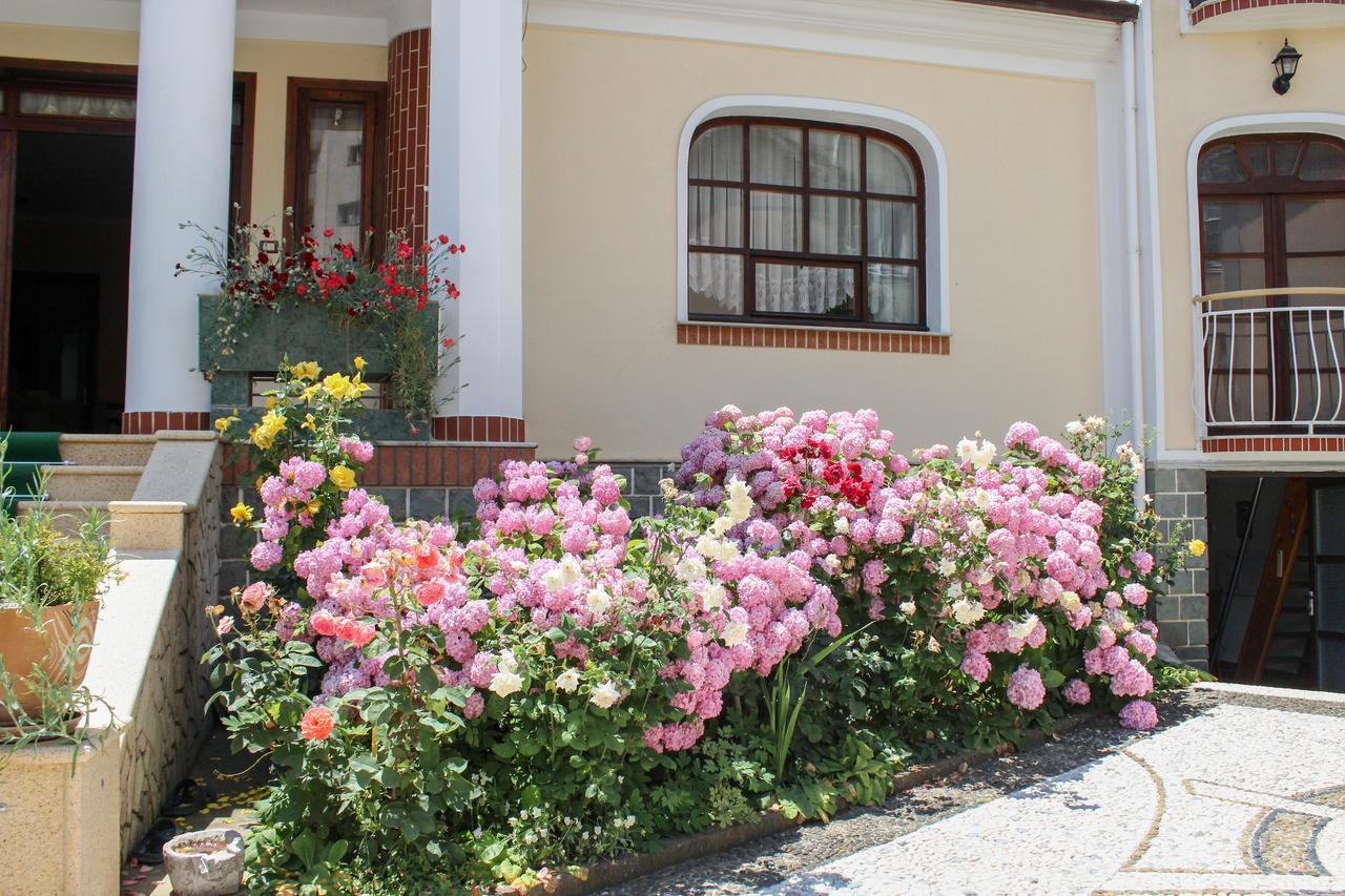 Vila Topciu Pogradec Bagian luar foto